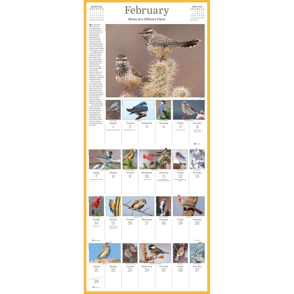 Audubon Songbirds and Other Backyard Birds Picture-A-Day 2027 Wall Calendar 
Second Alternate Image