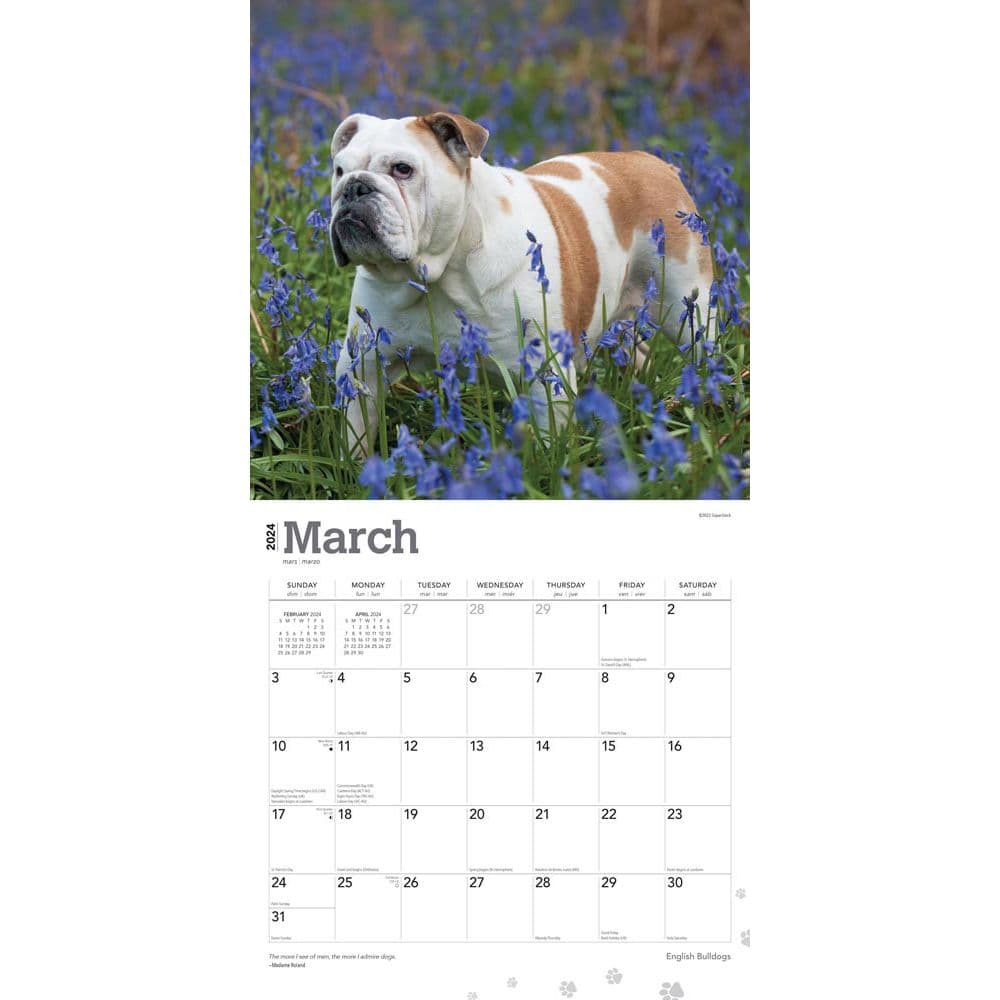 Bulldogs 2024 Wall Calendar