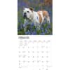 image Bulldogs 2024 Wall Calendar Second Alternate Image width=&quot;1000&quot; height=&quot;1000&quot;