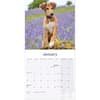 image Lurcher 2027 Wall Calendar Second Alternate Image