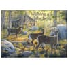 image Wildlife Special Edition 2025 Wall Calendar Fourth Alternate Image width=&quot;1000&quot; height=&quot;1000&quot;