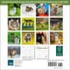 image Cats 2024 Mini Wall Calendar First Alternate Image width=&quot;1000&quot; height=&quot;1000&quot;