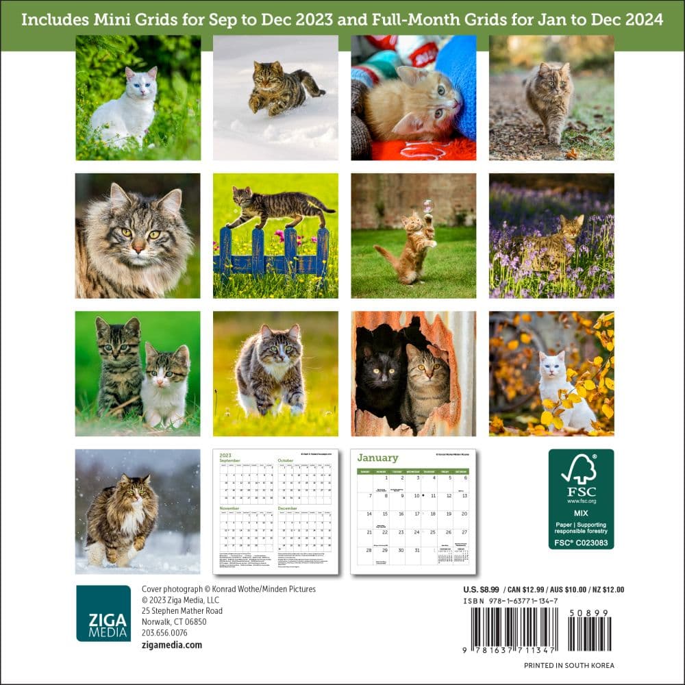Cats 2024 Mini Wall Calendar First Alternate Image width=&quot;1000&quot; height=&quot;1000&quot;