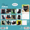 image Black Kitties 2026 Wall Calendar First Alternate Image