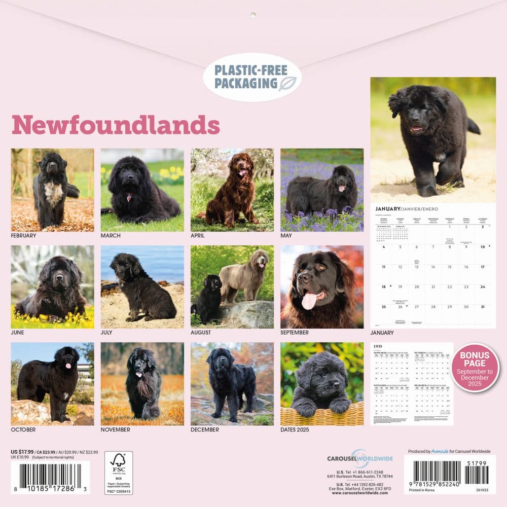 Newfoundlands 2026 Wall Calendar First Alternate Image