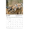 image Wolves WWF 2026 Wall Calendar Third Alternate Image