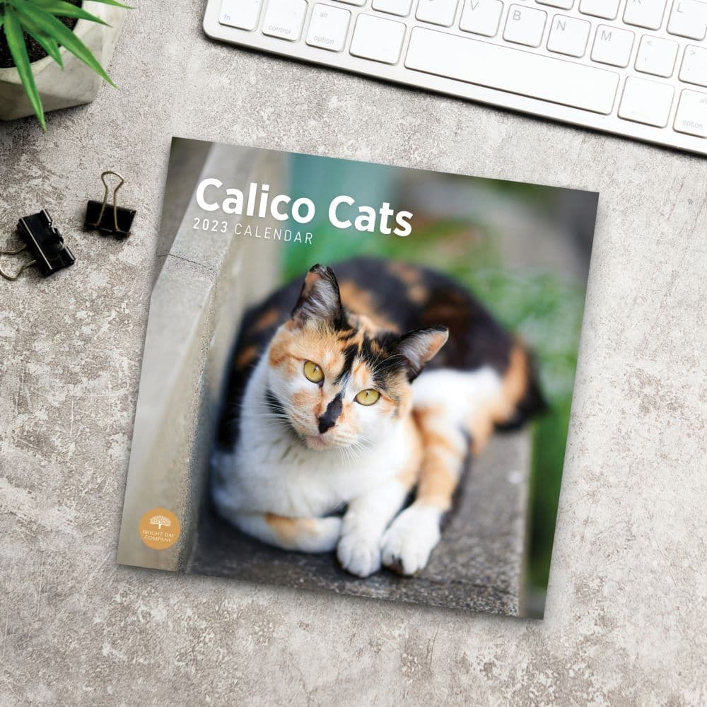 Calico-Cats-2023-Wall-Calendar - Calendars.com