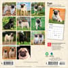 image Pugs 2027 Mini Wall Calendar First Alternate Image
