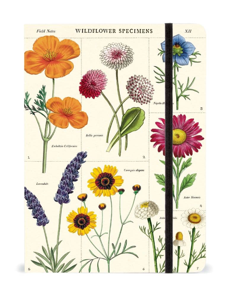 Cavallini Papers & Co. Wildflowers Large Notebook