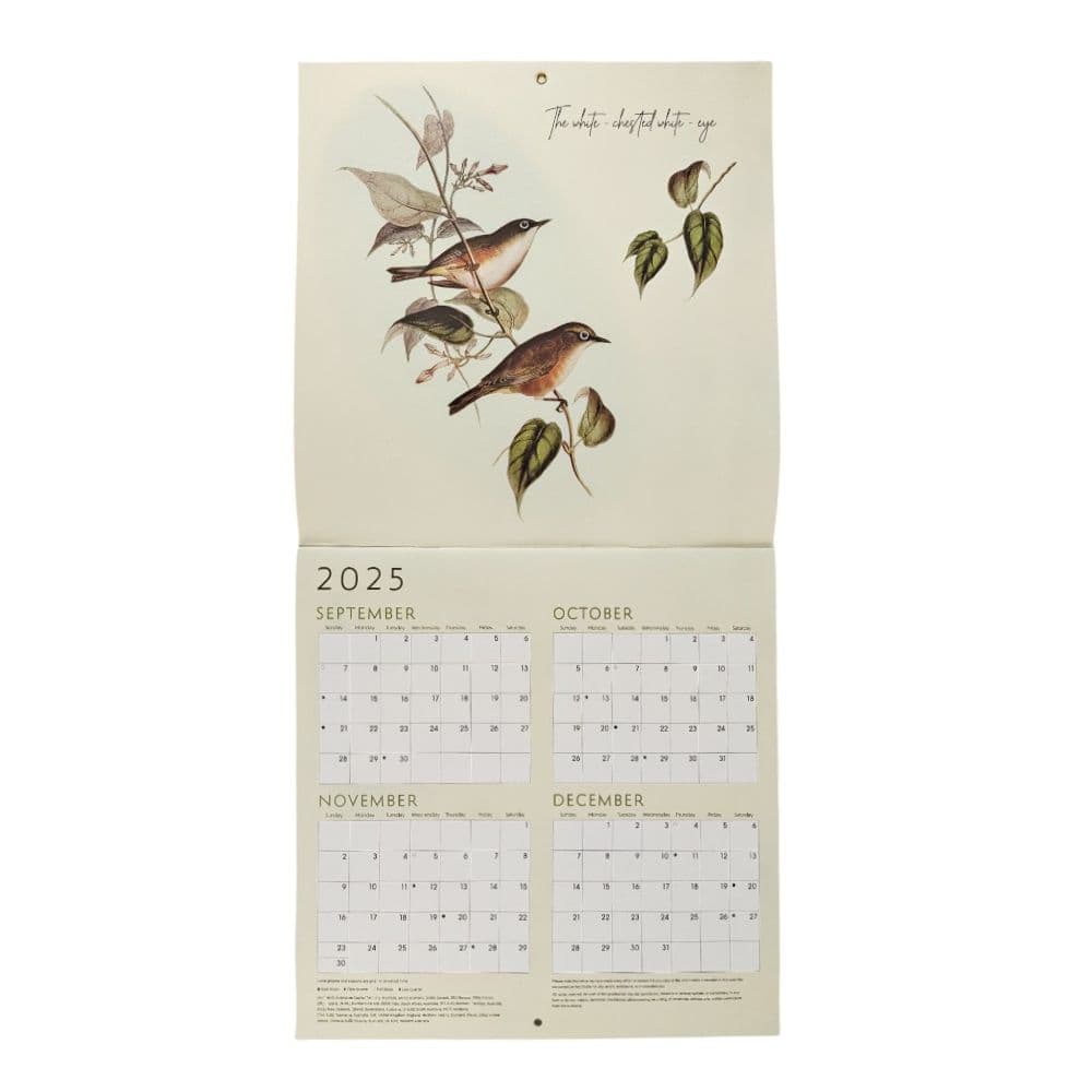 Birds 2026 Wall Calendar Second Alternate Image