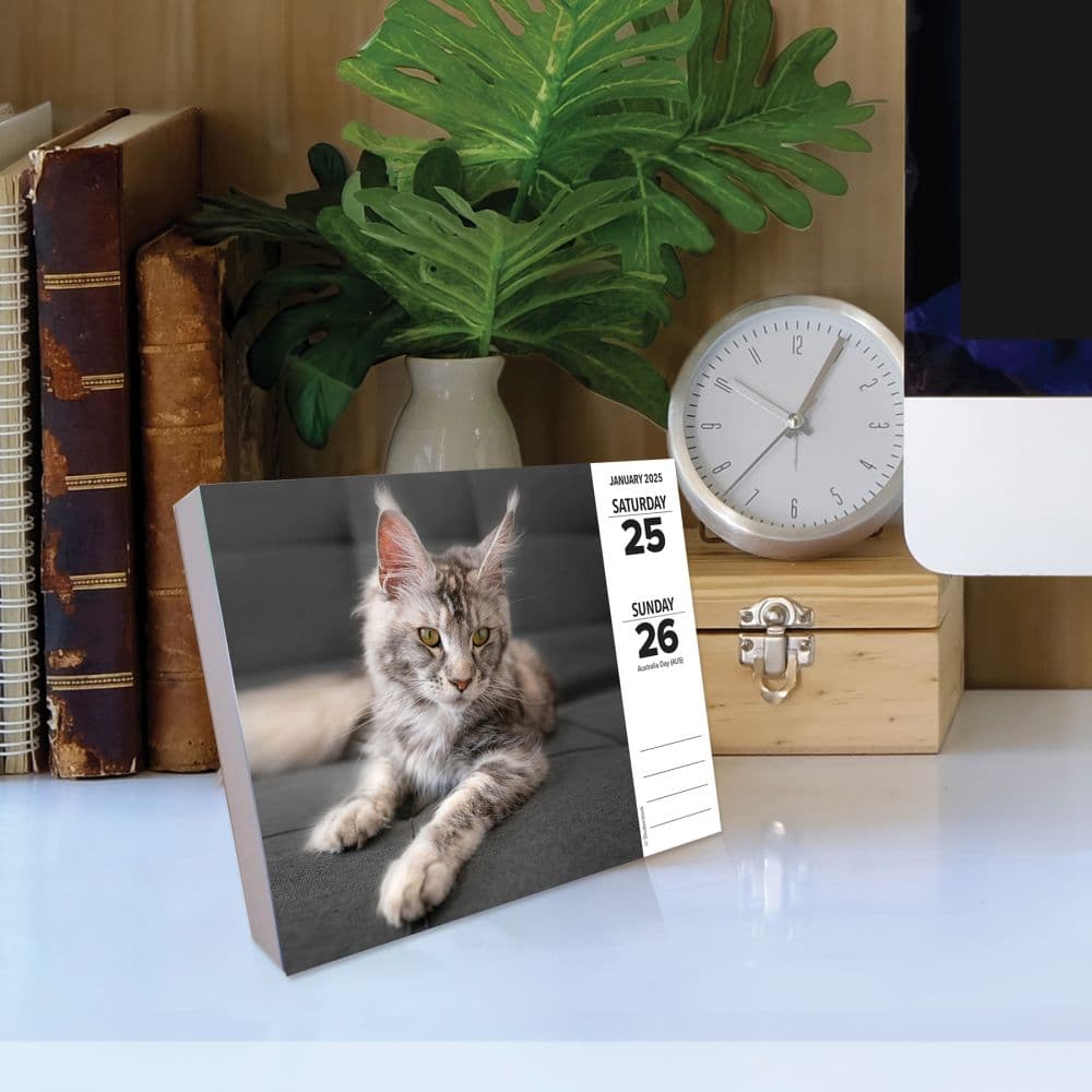 Cats 2025 Desk Calendar Third Alternate Image