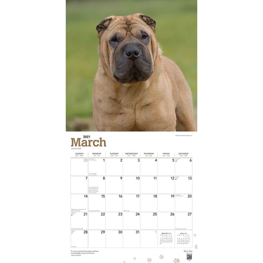 Download Shar-Pei Wall Calendar - Calendars.com