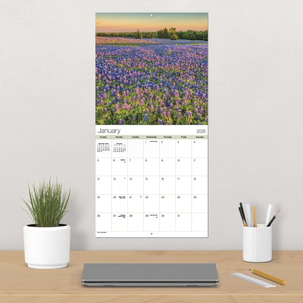 Texas Wildflowers 2025 Wall Calendar Alt4