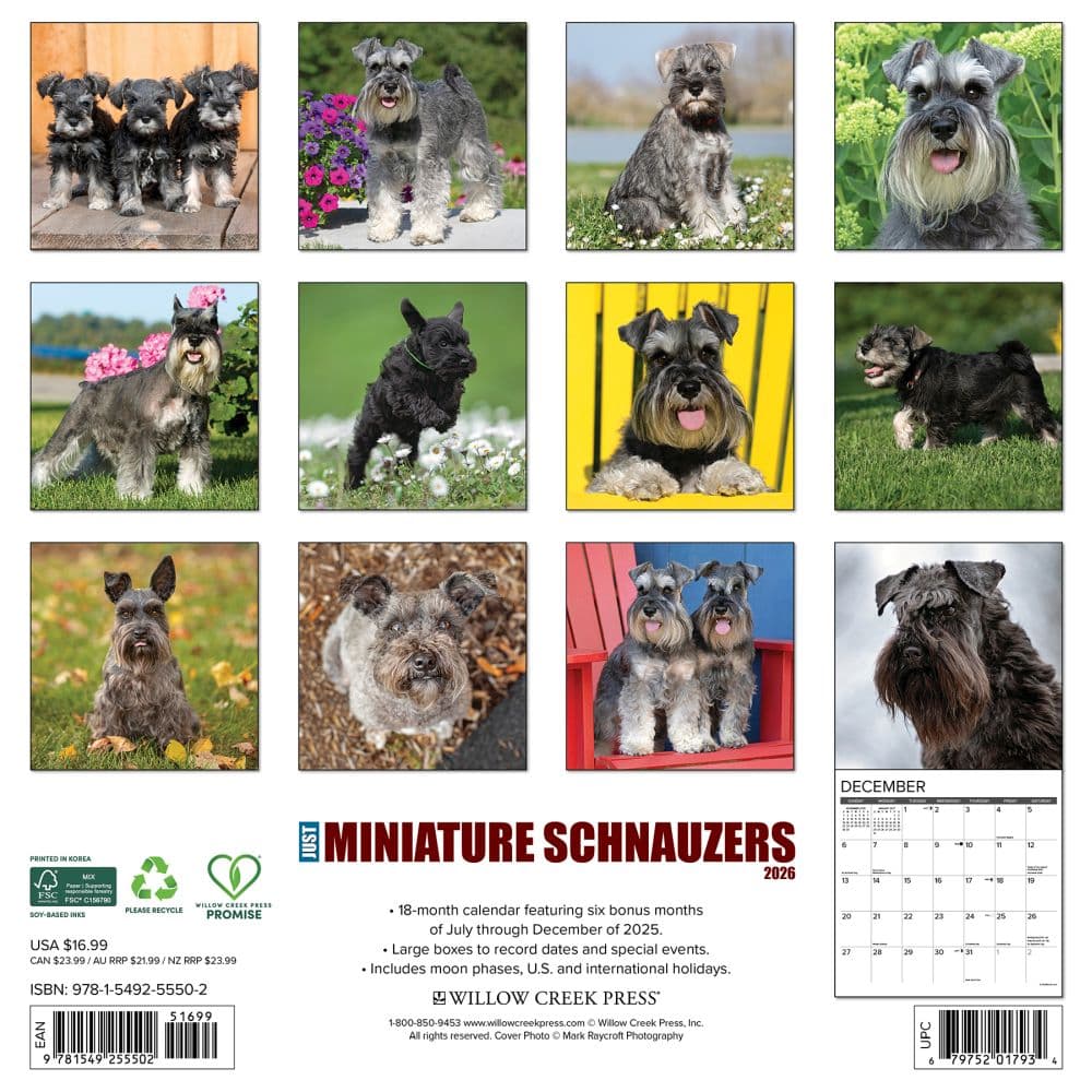 Just Miniature Schnauzers 2026 Wall Calendar First Alternate Image