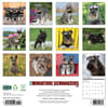 image Just Miniature Schnauzers 2026 Wall Calendar First Alternate Image