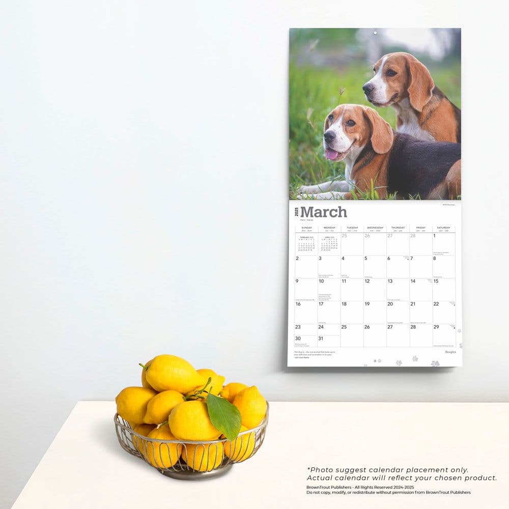 Beagles 2025 Wall Calendar