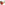 image Christmas Forever Poinsettia Decor