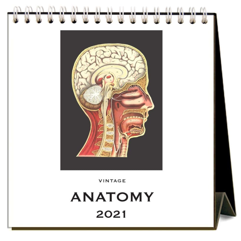 2021 Anatomy Easel Calendar