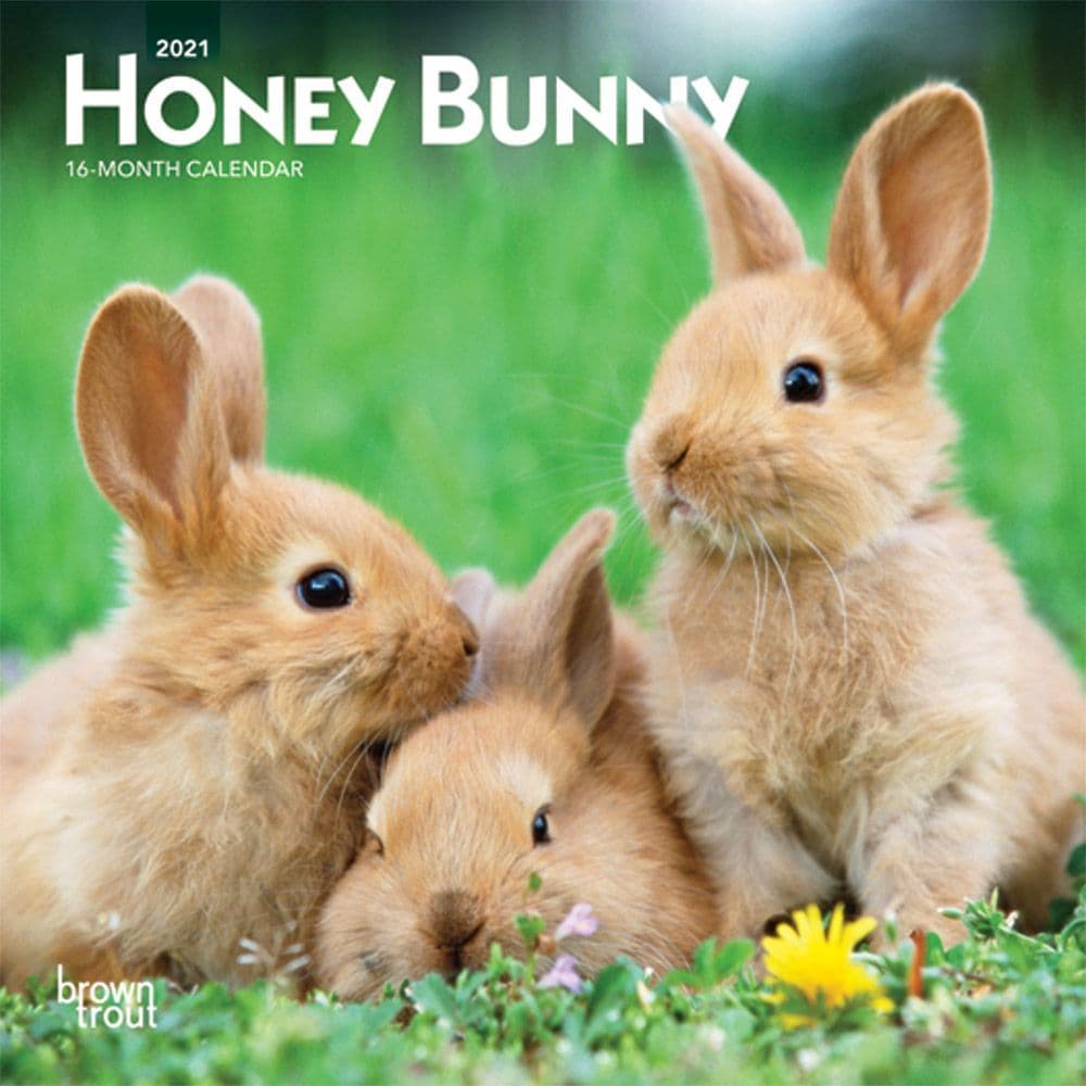 Honey Bunny Mini Wall Calendar