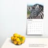 image Baby Animals 2025 Wall Calendar