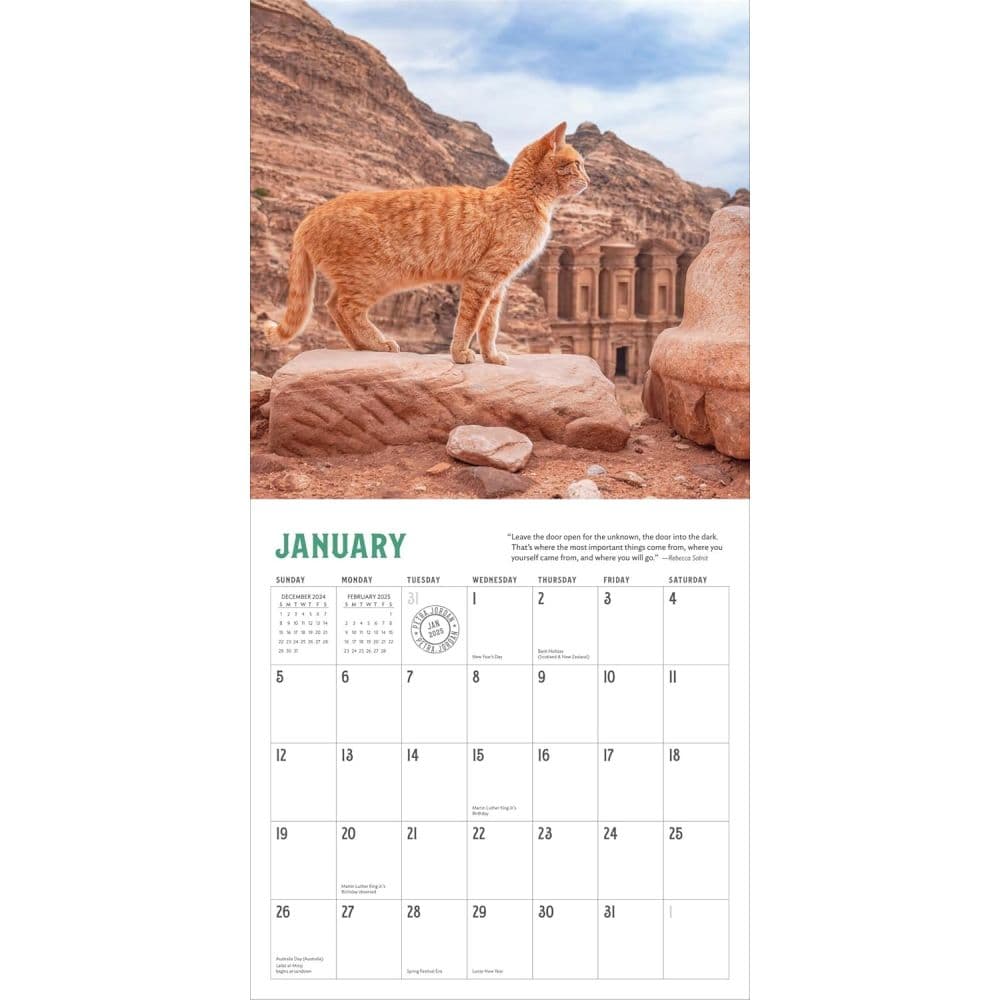 Travel Cats 2025 Wall Calendar Main Product Image Second Alternate Image