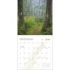 image Appalachian Trail 2025 Wall Calendar Third Alternate Image width=&quot;1000&quot; height=&quot;1000&quot;