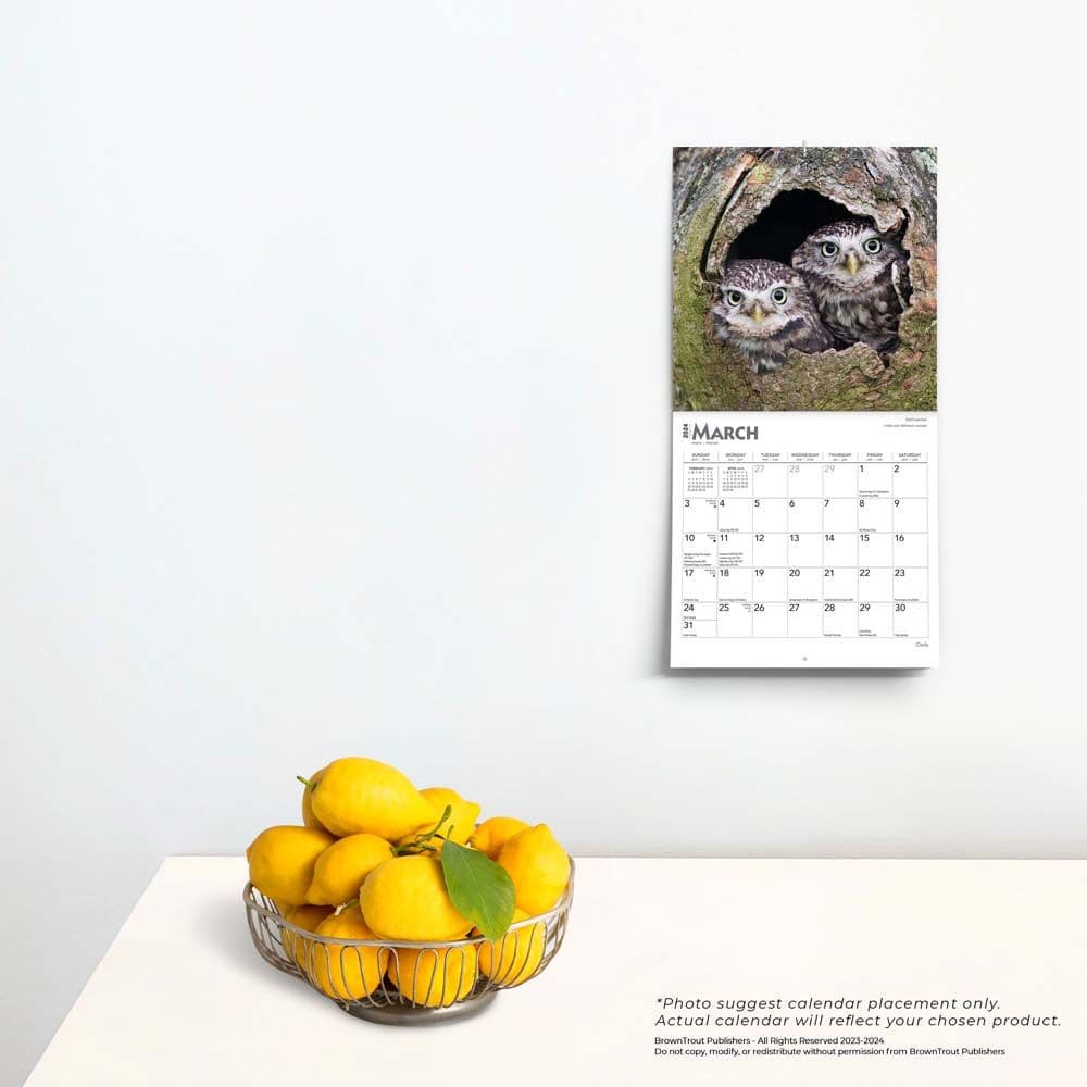 Owls 2024 Mini Wall Calendar