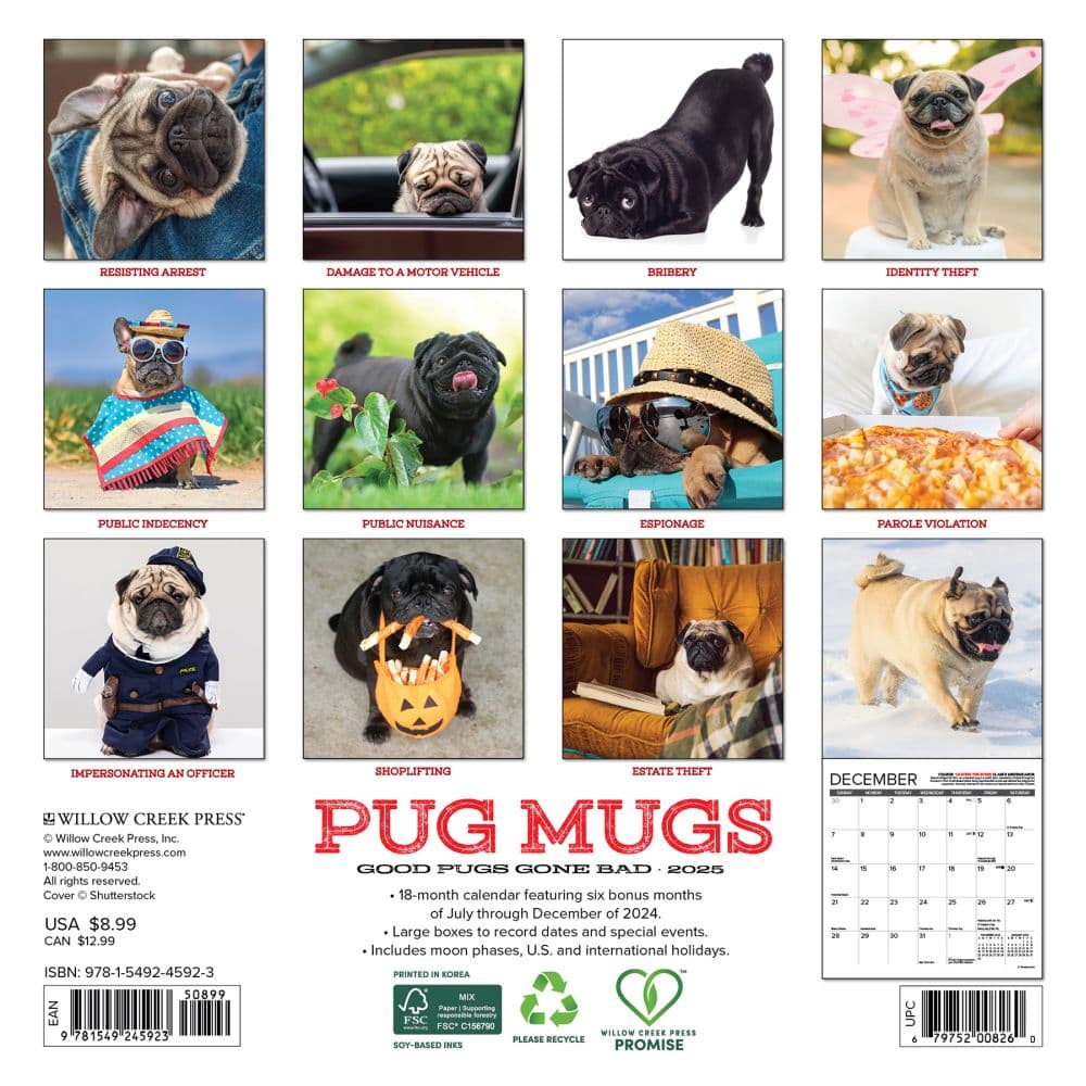 Pug Mugs 2025 Mini Wall Calendar First Alternate Image width=&quot;1000&quot; height=&quot;1000&quot;