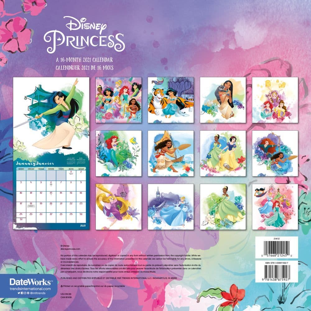 From Japan Disney Princess Wall Calendar 2021 