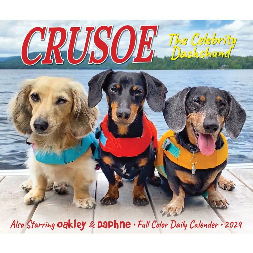Crusoe the Celebrity Dachshund 2024 Desk Calendar