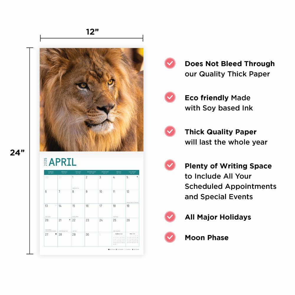 Lions 2025 Wall Calendar