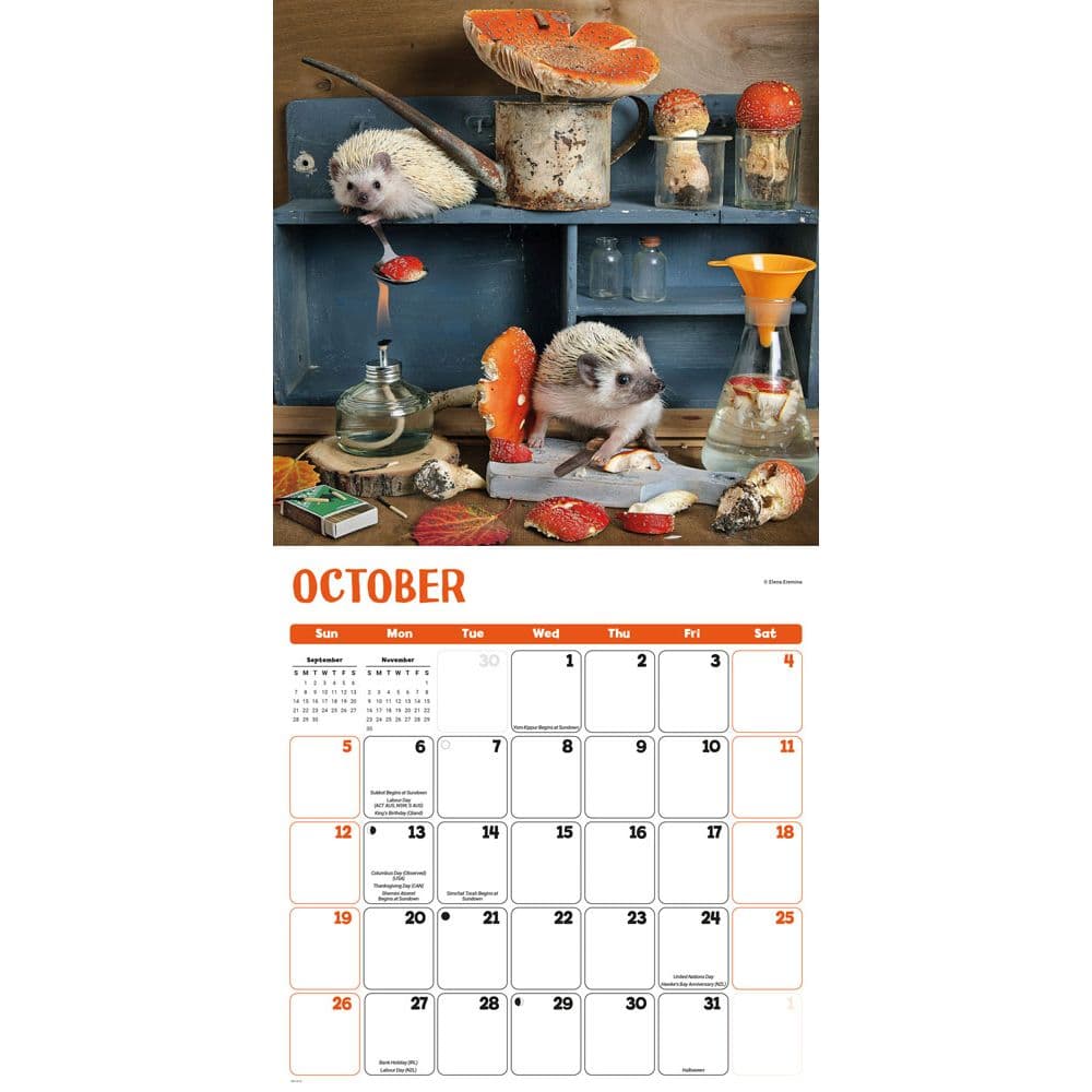 Hedgehogs 2025 Wall Calendar Alt3