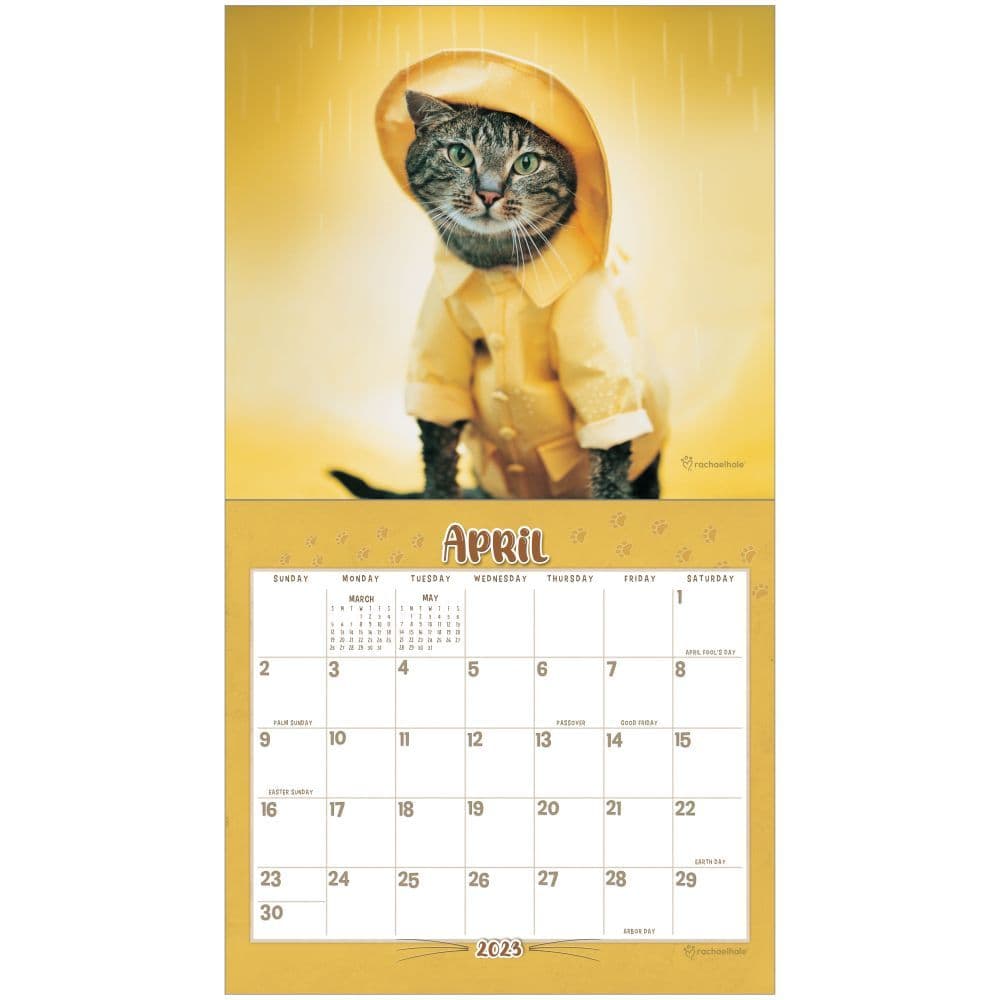 Cool 2023 Calendar Cool Cats 2023 Wall Calendar - Calendars.com