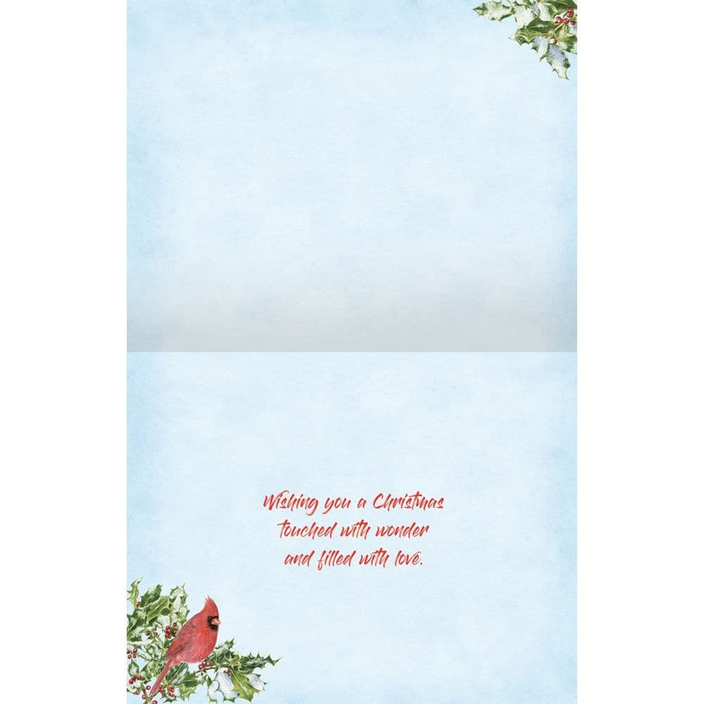 LANG Biglietti Di Natale In Scatola - Cardinal Birdhouse - 18 Biglietti Con Buste - Carta In Lino Con Glitter - Opera Di Jane Shasky