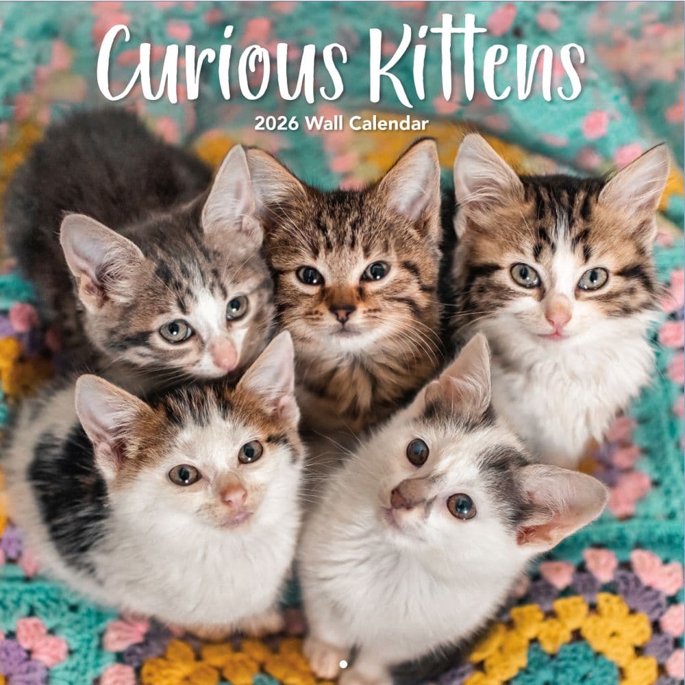 Curious Kittens 2026 Wall Calendar_Main Image