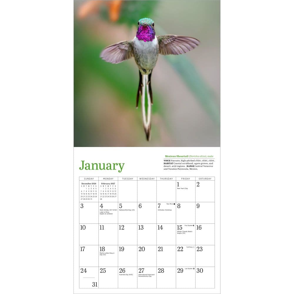 Audubon Hummingbirds 2027 Mini Wall Calendar Second Alternate Image