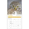 image Owls 2025 Mini Wall Calendar Third Alternate Image width=&quot;1000&quot; height=&quot;1000&quot;