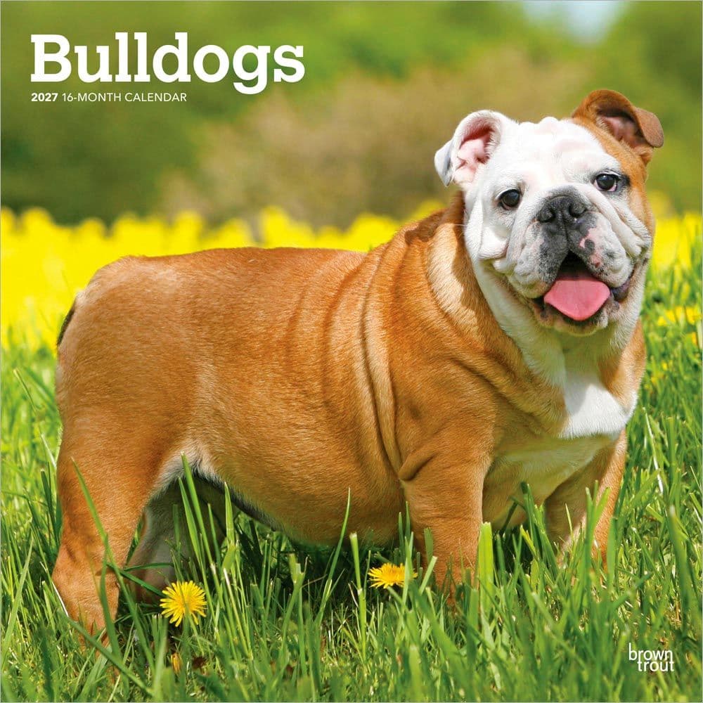Bulldogs 2027 Wall Calendar Main Product Image