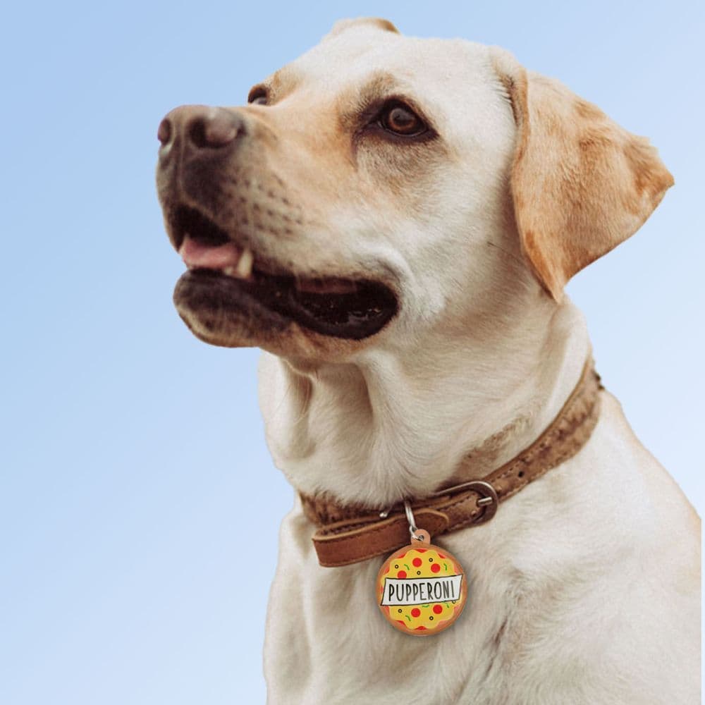 Pupperoni Dog Collar Charm on a yellow lab
