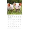 image Piglets 2026 Mini Wall Calendar Fourth Alternate Image