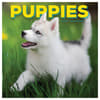 image Puppies 2025 Wall Calendar  Main Image