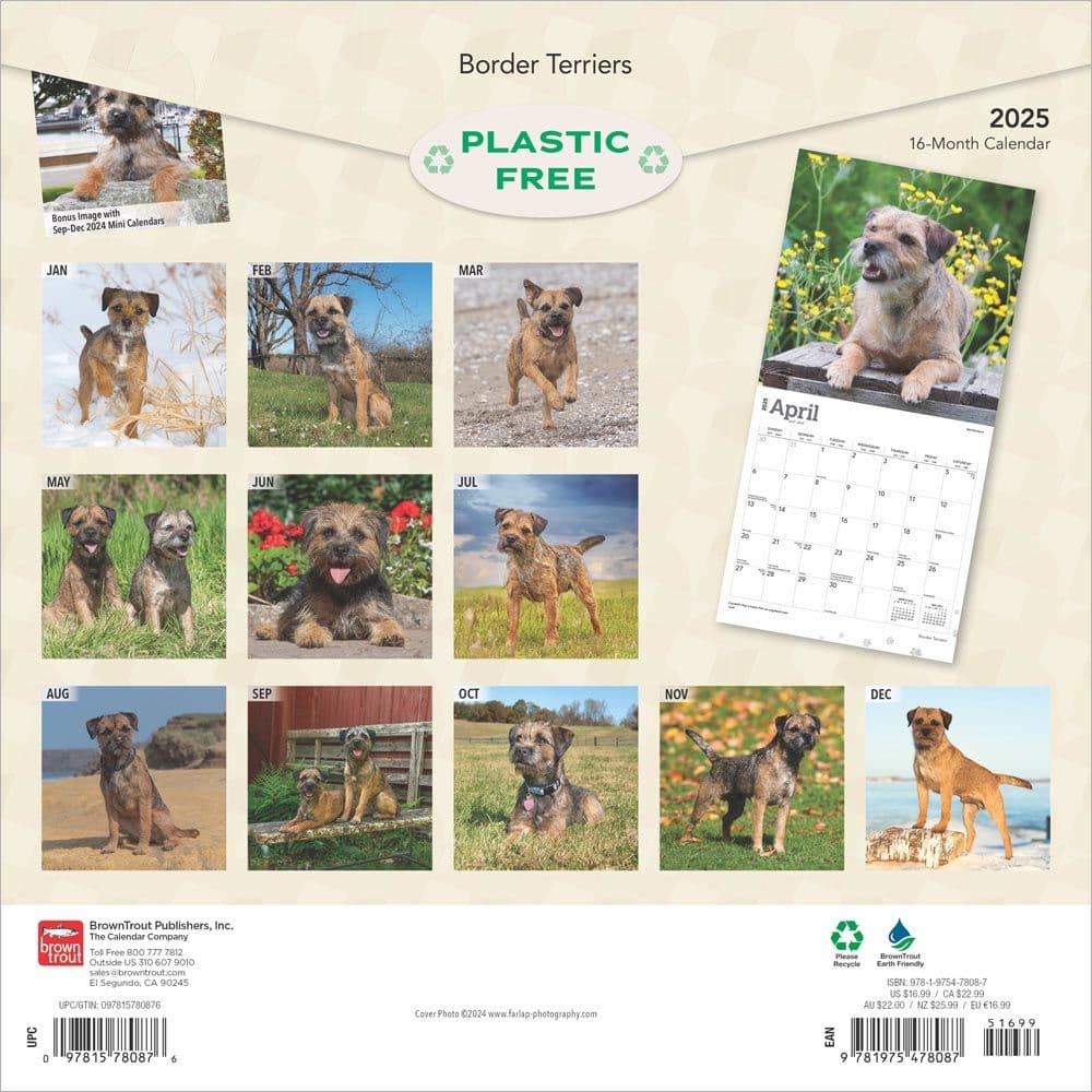 Border Terriers 2025 Wall Calendar First Alternate Image width=&quot;1000&quot; height=&quot;1000&quot;