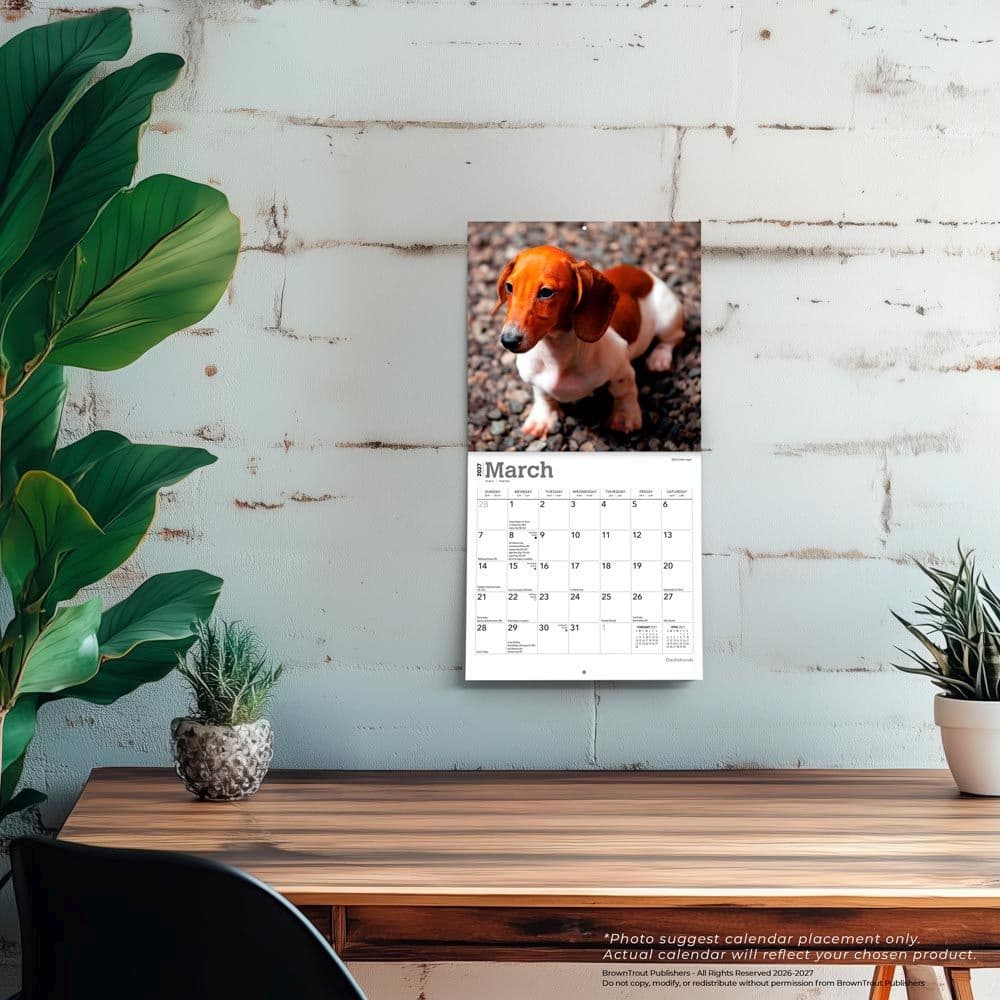 Dachshunds 2027 Mini Wall Calendar Fourth Alternate Image