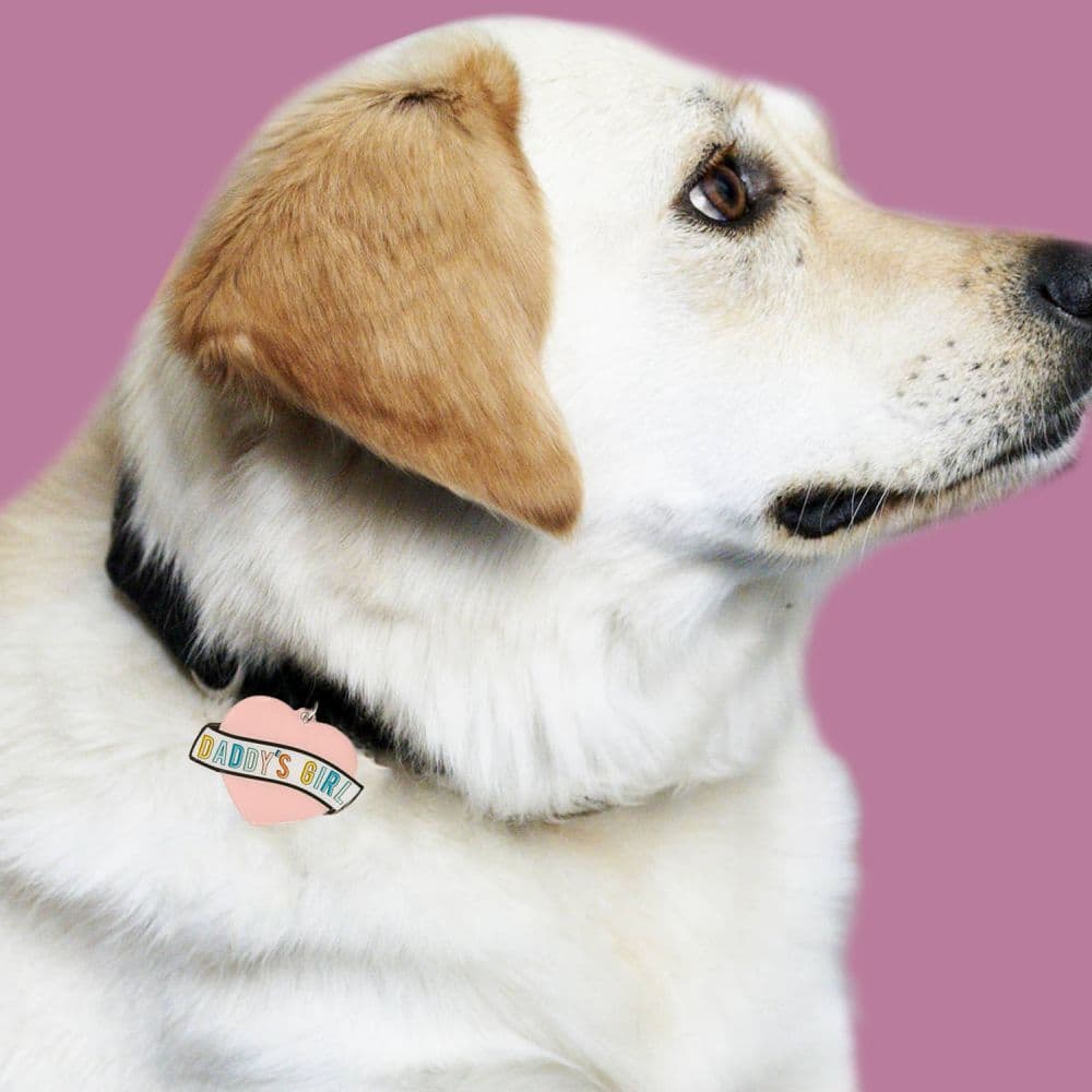 Daddy's Girl Dog Collar