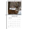 image White Tailed Deer 2027 Wall Calendar Fourth Alternate Image