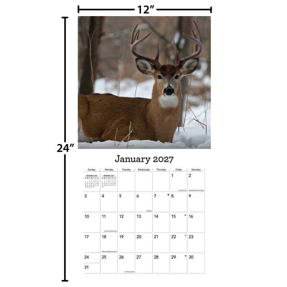 White Tailed Deer 2027 Wall Calendar Fourth Alternate Image