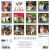 image Collies 2026 Wall Calendar First Alternate Image