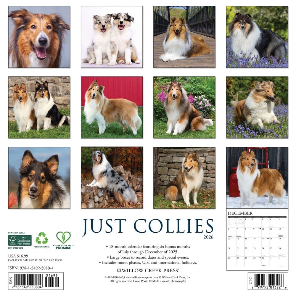 Collies 2026 Wall Calendar First Alternate Image