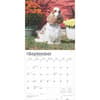 image American Cocker Spaniels 2025 Wall Calendar