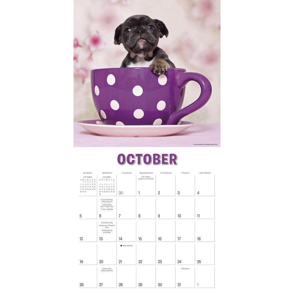 Pups in Cups 2025 Wall Calendar